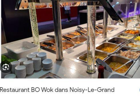 Appartement Paris Disneyland, Parking Gratuit, Rer A Noisy-le-Grand Buitenkant foto
